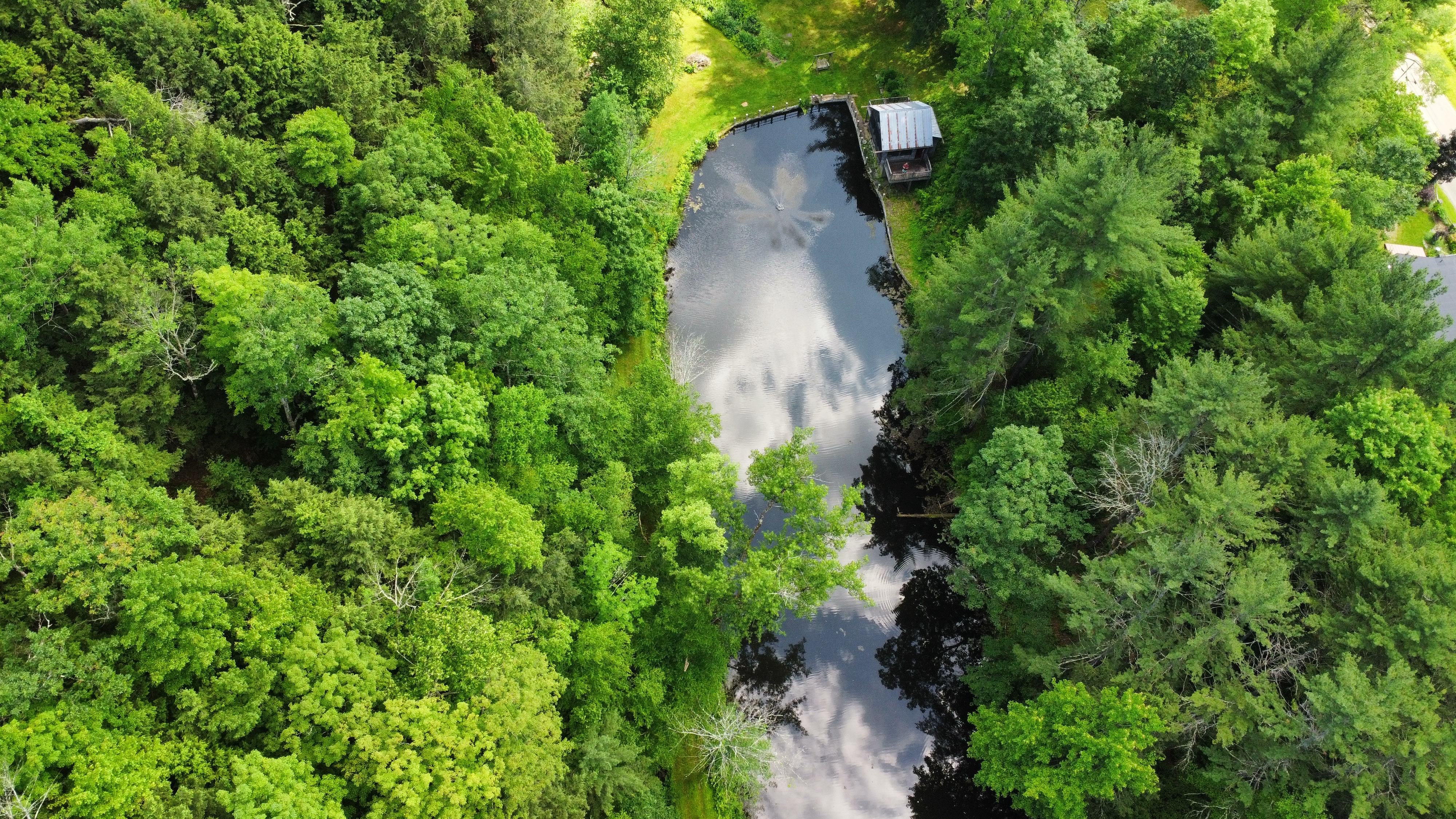 Aerial view of Kingfisher Hollow in summer
