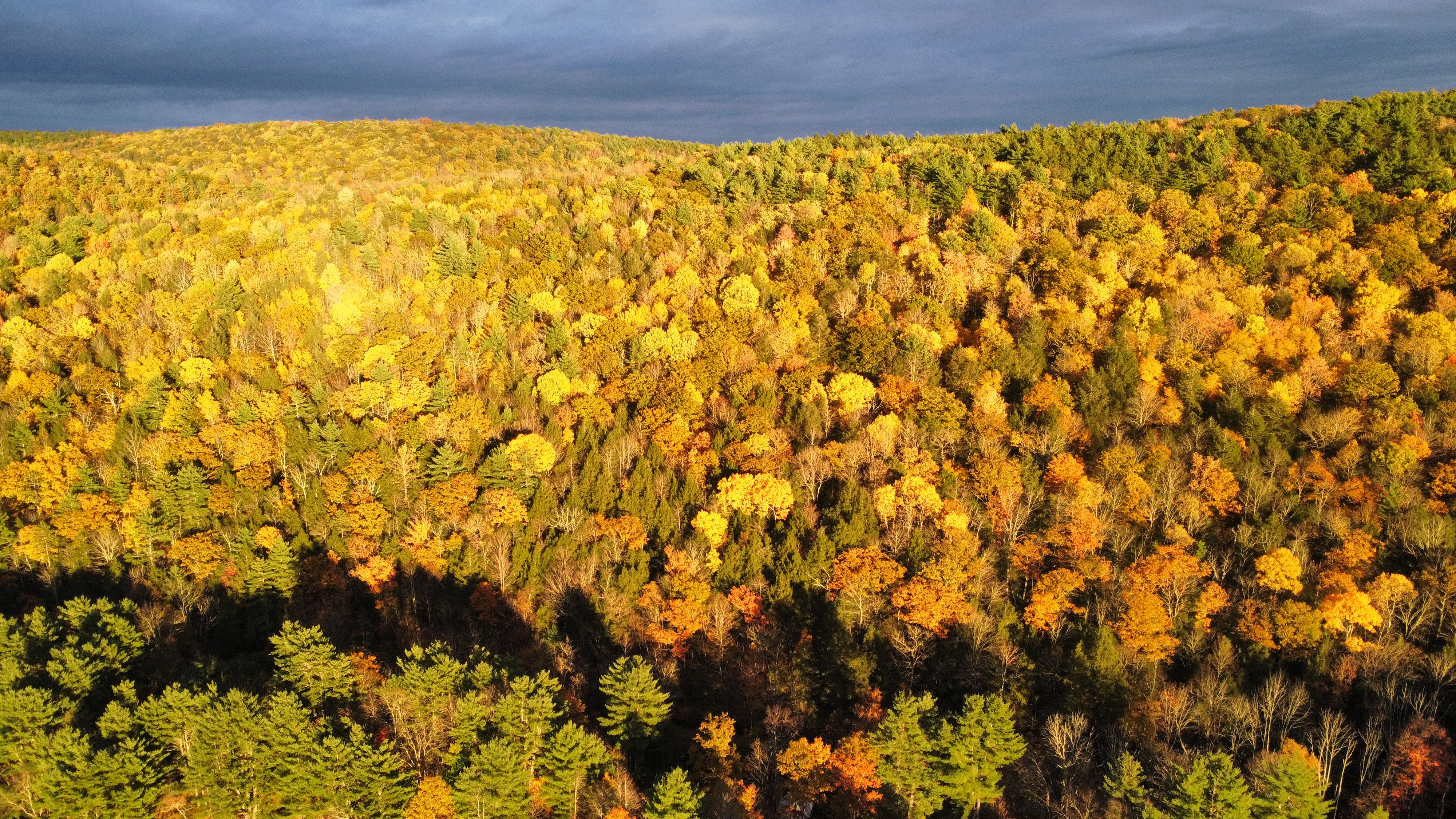 Aerial view of Kingfisher Hollow in autumn