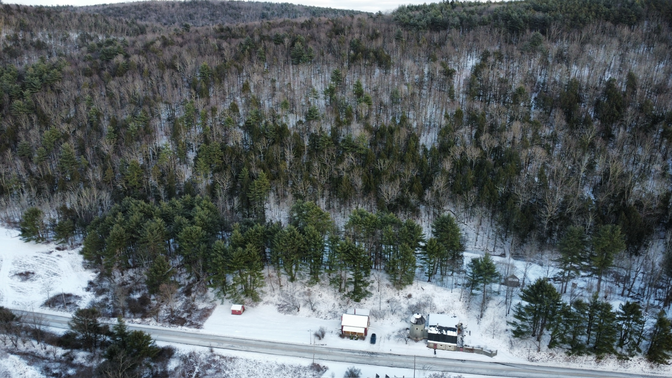 Kingfisher Hollow in winter