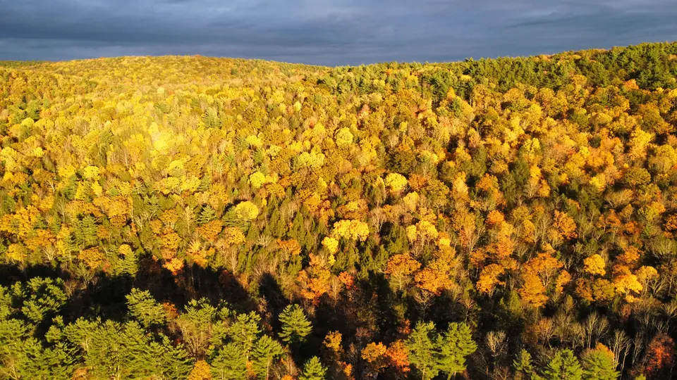 Kingfisher Hollow in autumn